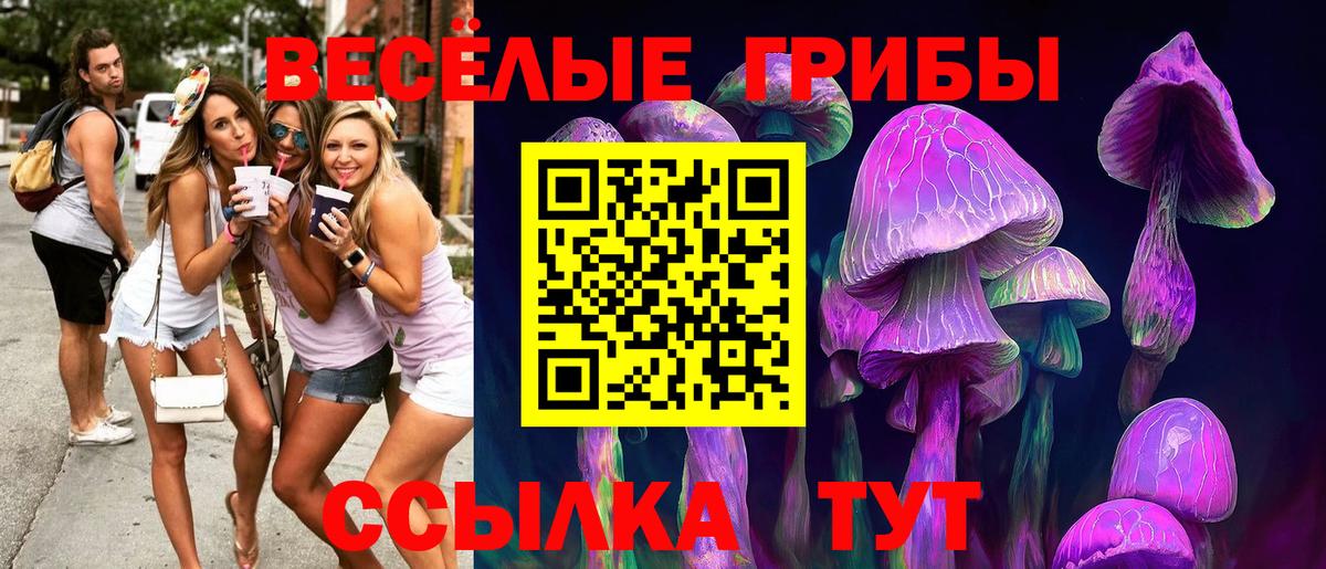 Галлюциногенные грибы мухоморы  Вход с VPN  Ростов-на-Дону  Галлюциногенные грибы Cubensis 