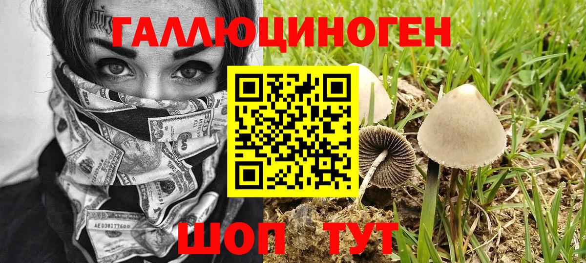 A-PVP Ростов-на-Дону